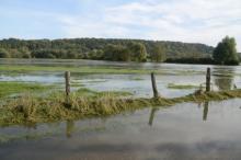 Prairies inondées par la Meuse